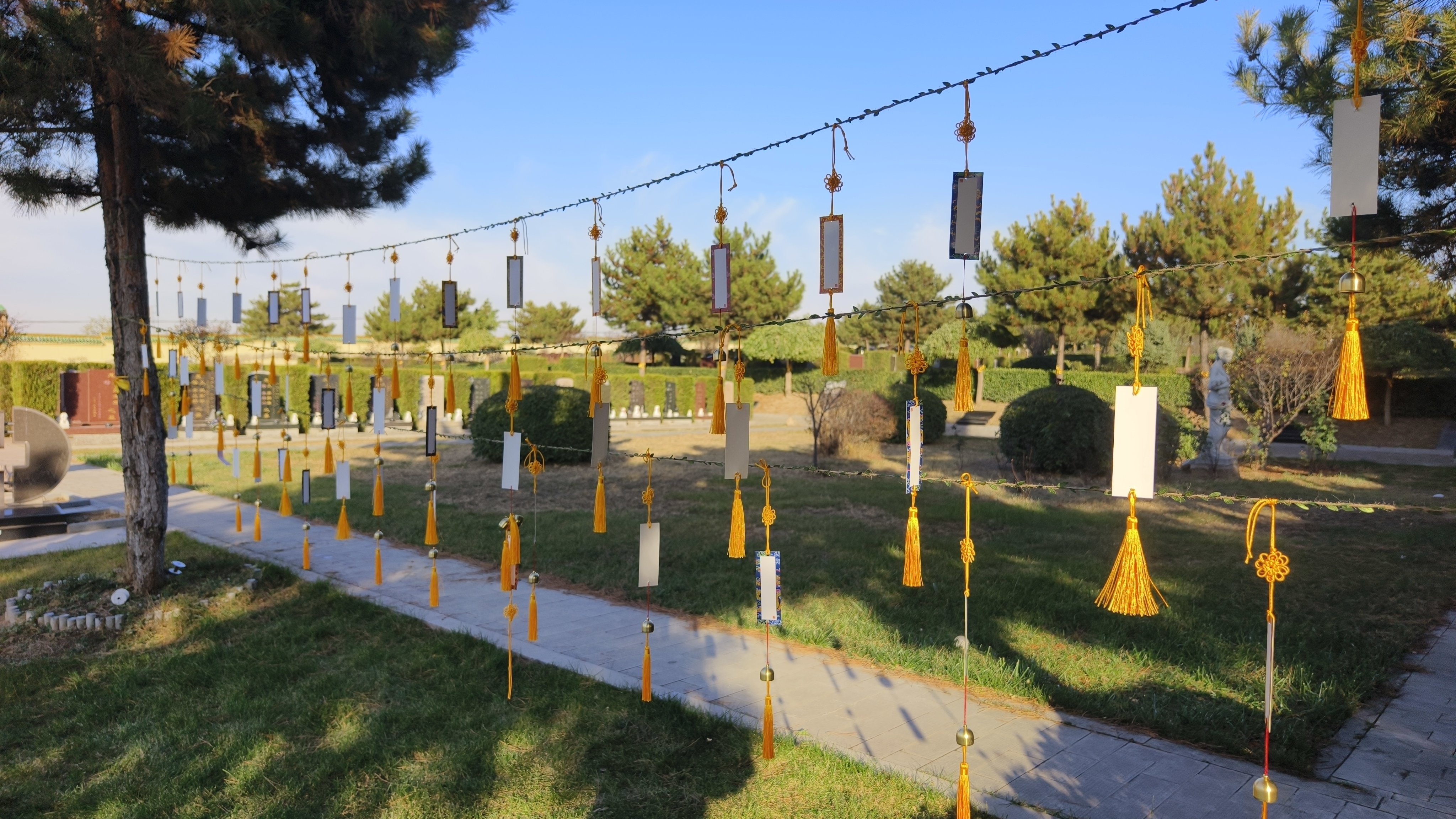 必赢亚洲·Bwin(唯一)官方网站