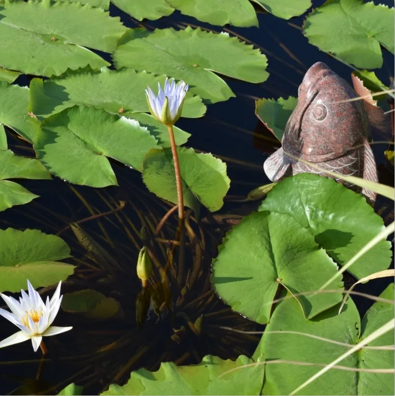 必赢亚洲·Bwin(唯一)官方网站