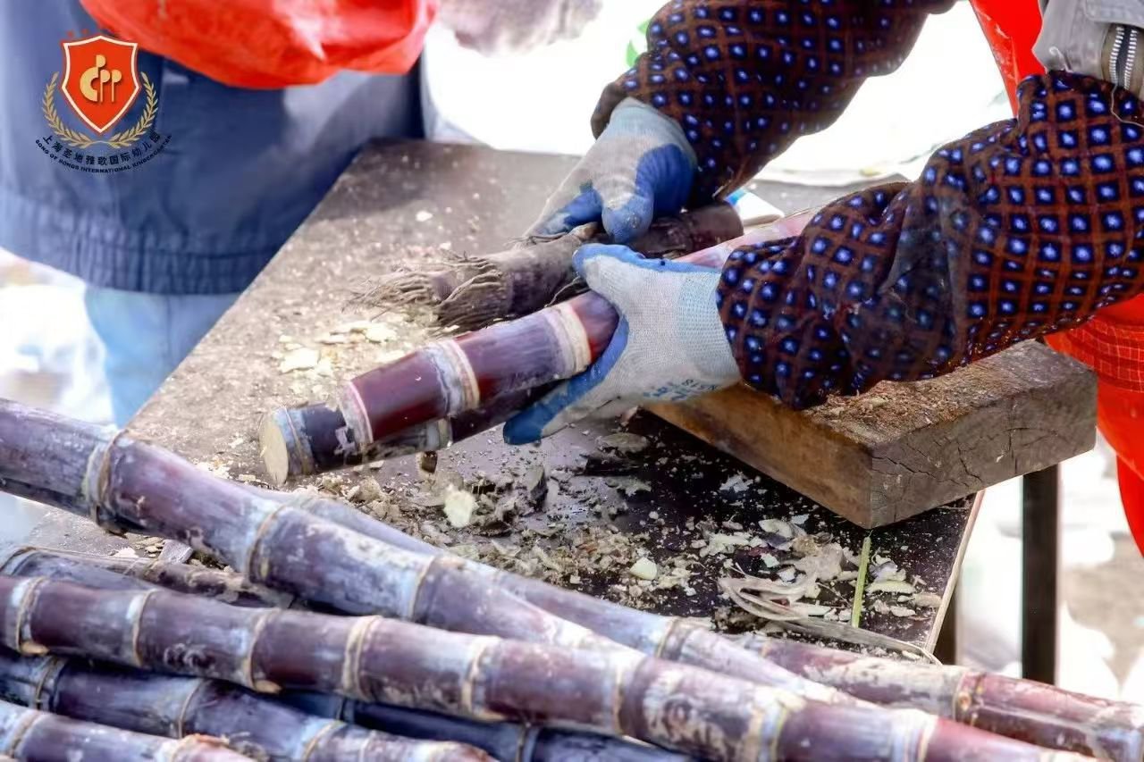 必赢亚洲·Bwin(唯一)官方网站