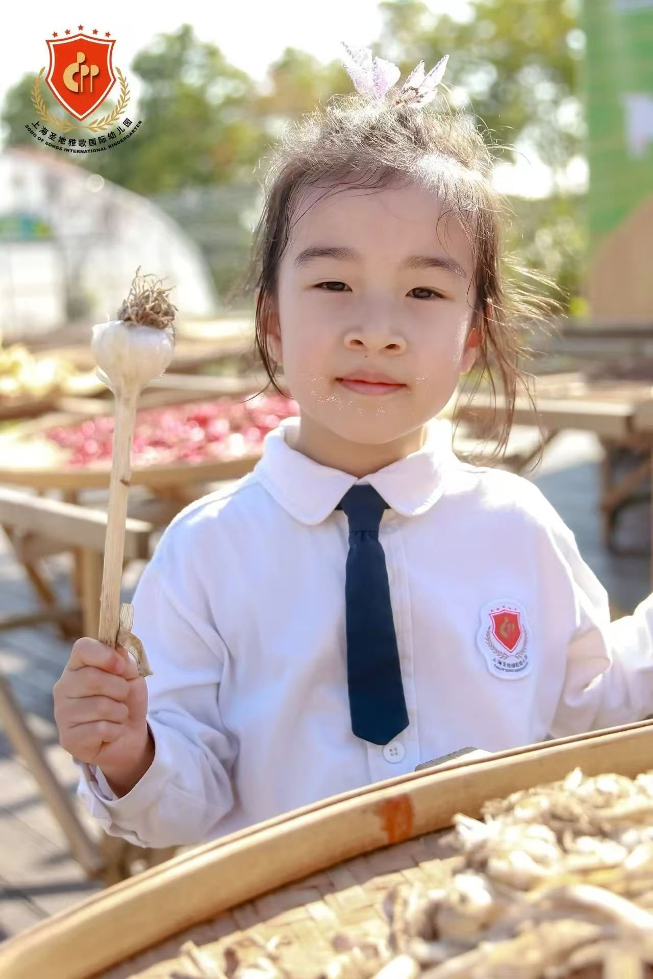 必赢亚洲·Bwin(唯一)官方网站