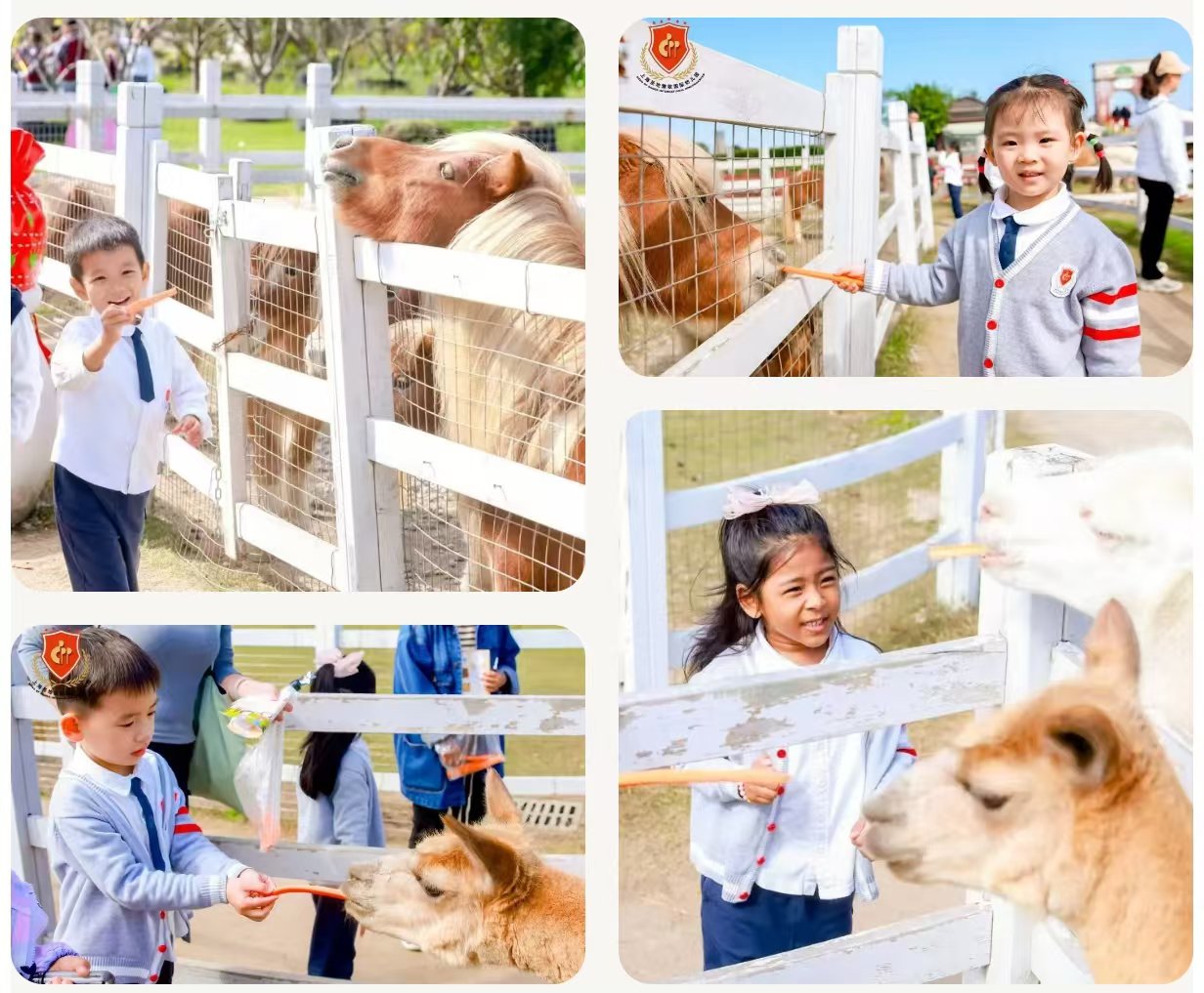 必赢亚洲·Bwin(唯一)官方网站