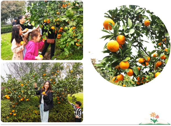 必赢亚洲·Bwin(唯一)官方网站