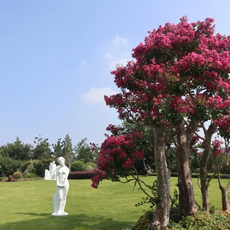 必赢亚洲·Bwin(唯一)官方网站