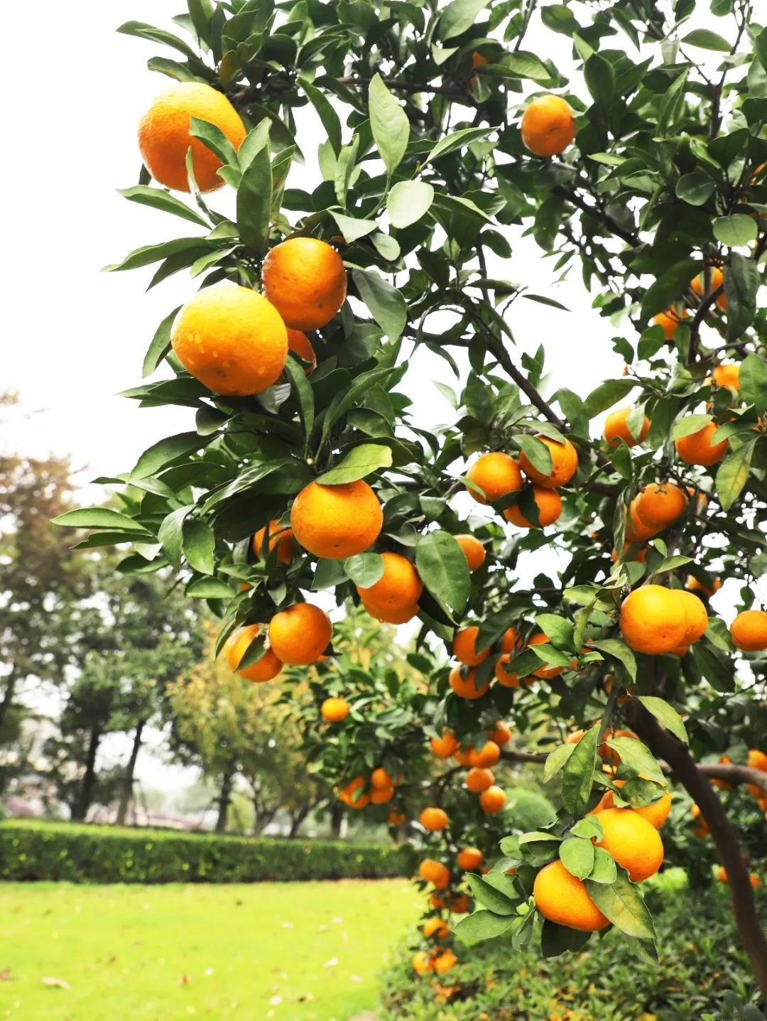 必赢亚洲·Bwin(唯一)官方网站