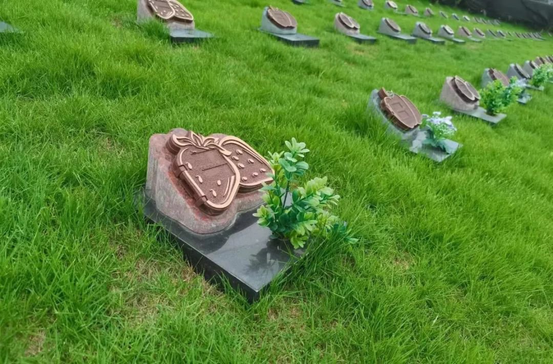 必赢亚洲·Bwin(唯一)官方网站