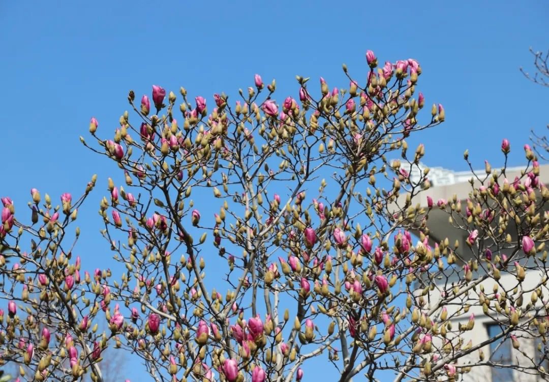 必赢亚洲·Bwin(唯一)官方网站