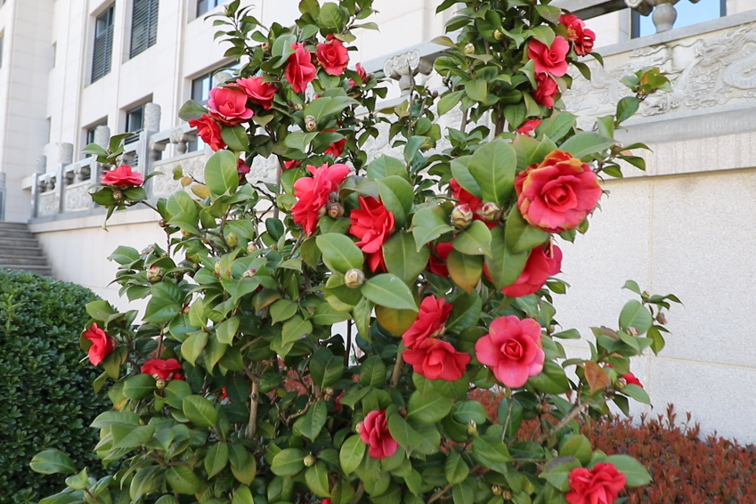 必赢亚洲·Bwin(唯一)官方网站