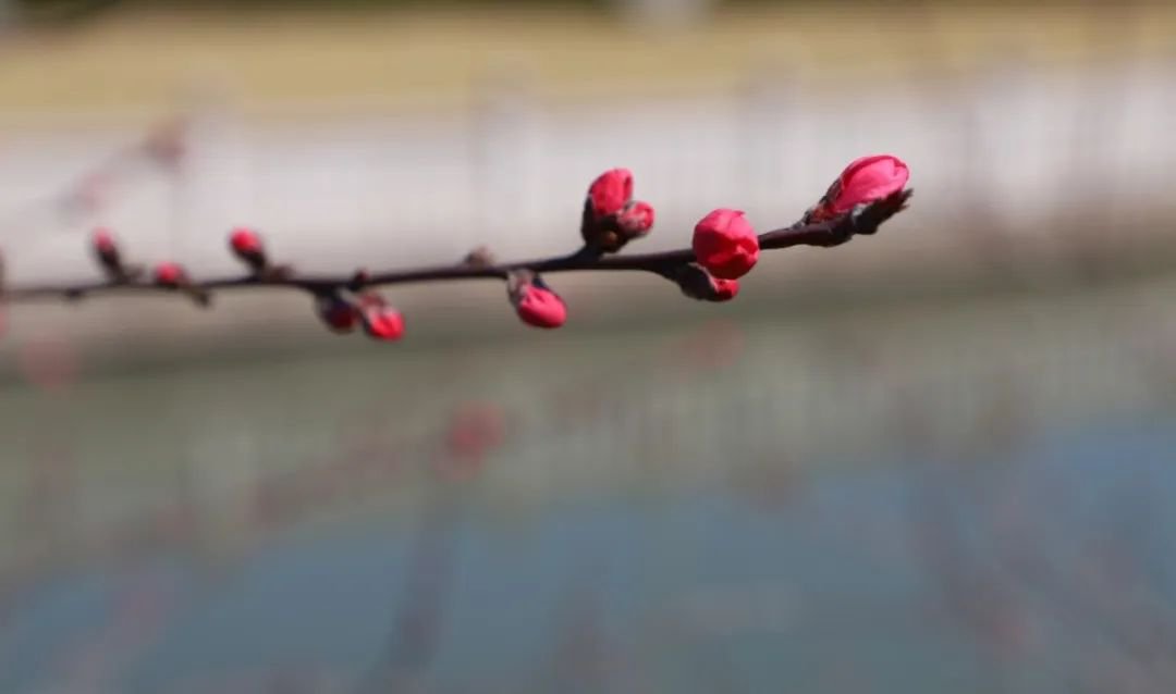 必赢亚洲·Bwin(唯一)官方网站