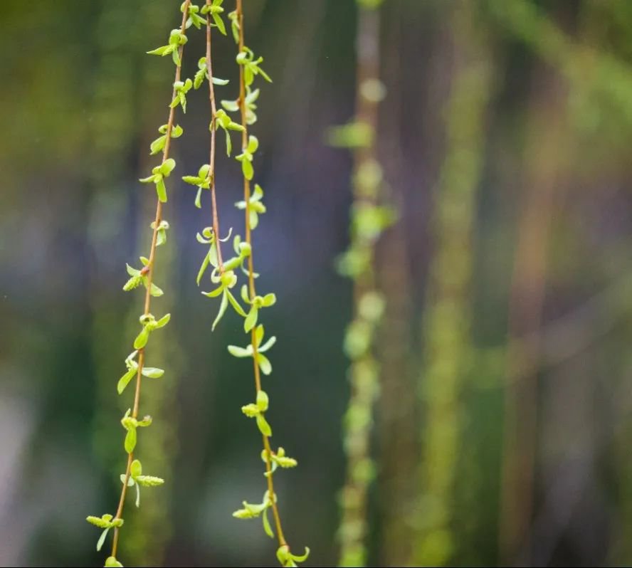 必赢亚洲·Bwin(唯一)官方网站