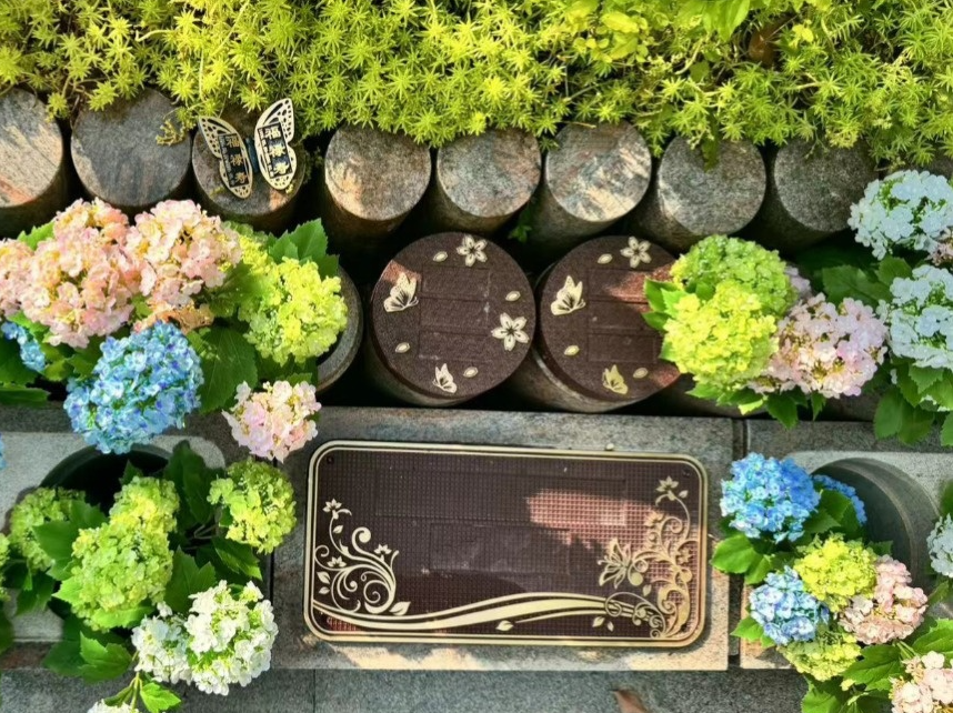 必赢亚洲·Bwin(唯一)官方网站