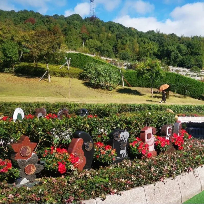 必赢亚洲·Bwin(唯一)官方网站