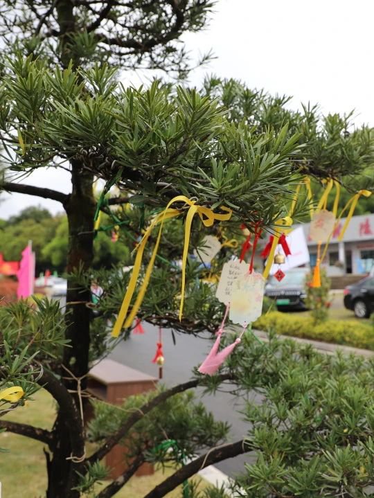 必赢亚洲·Bwin(唯一)官方网站