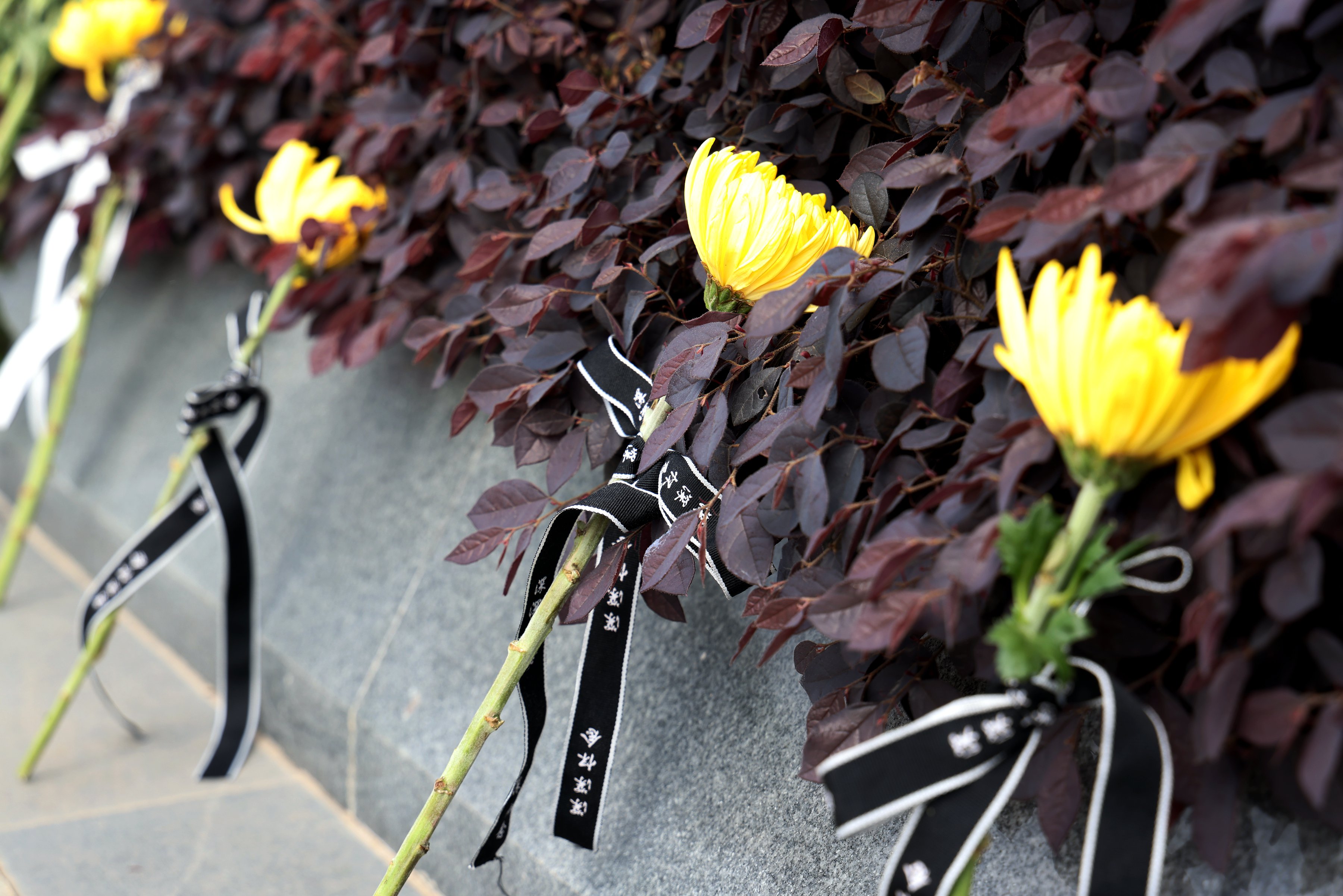 必赢亚洲·Bwin(唯一)官方网站