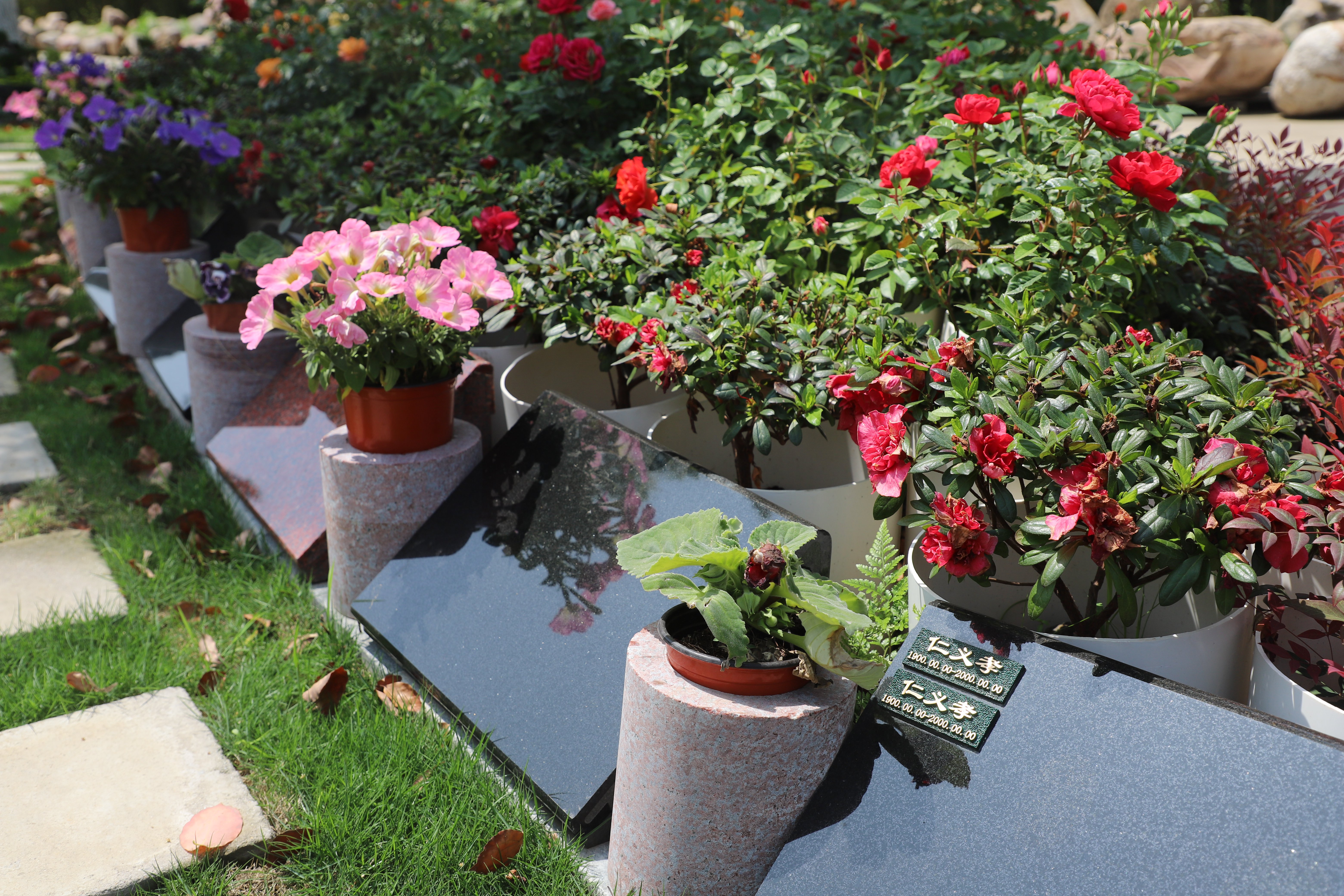 必赢亚洲·Bwin(唯一)官方网站