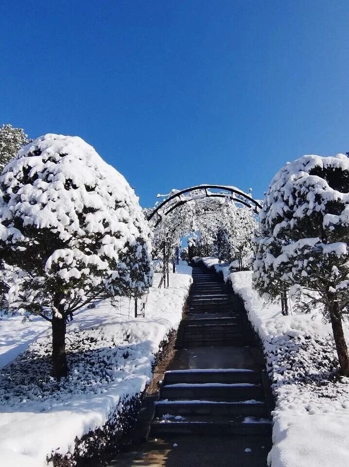 必赢亚洲·Bwin(唯一)官方网站