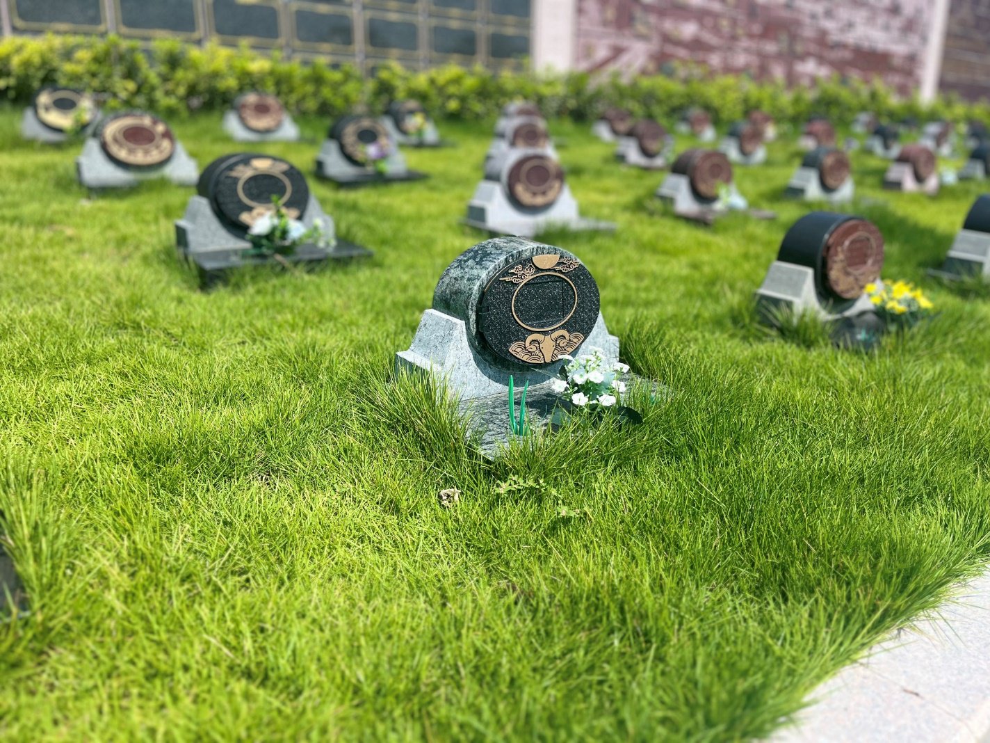 必赢亚洲·Bwin(唯一)官方网站